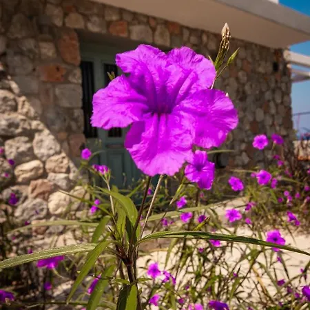 Apartment Joya Cyprus Mediterranean View Penthouse *